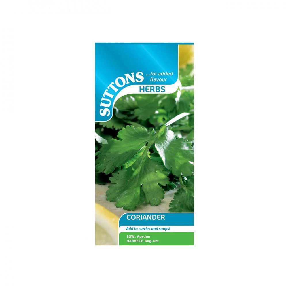 Suttons Herb Coriander 164650