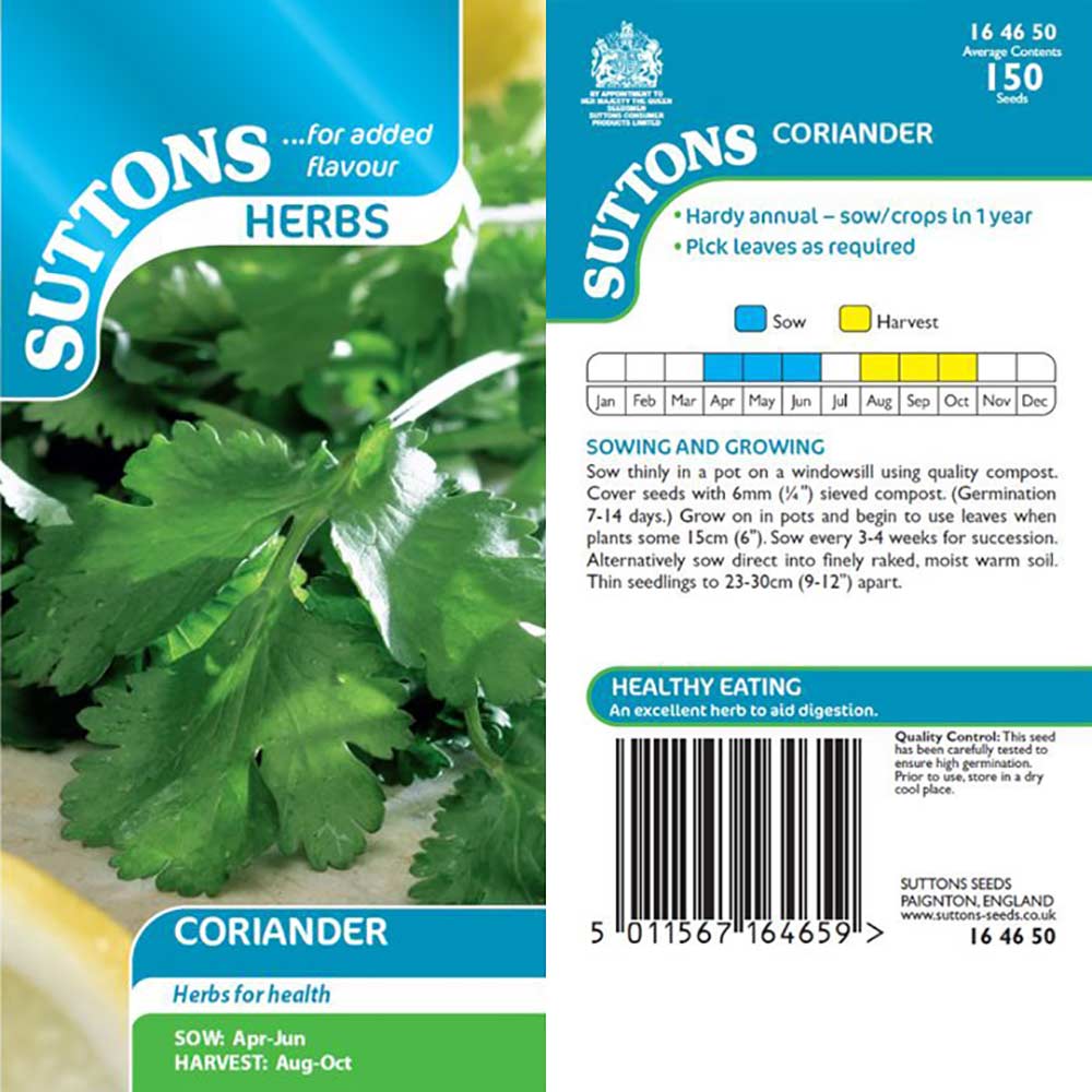 Suttons Herb Coriander 164650 - Image 2