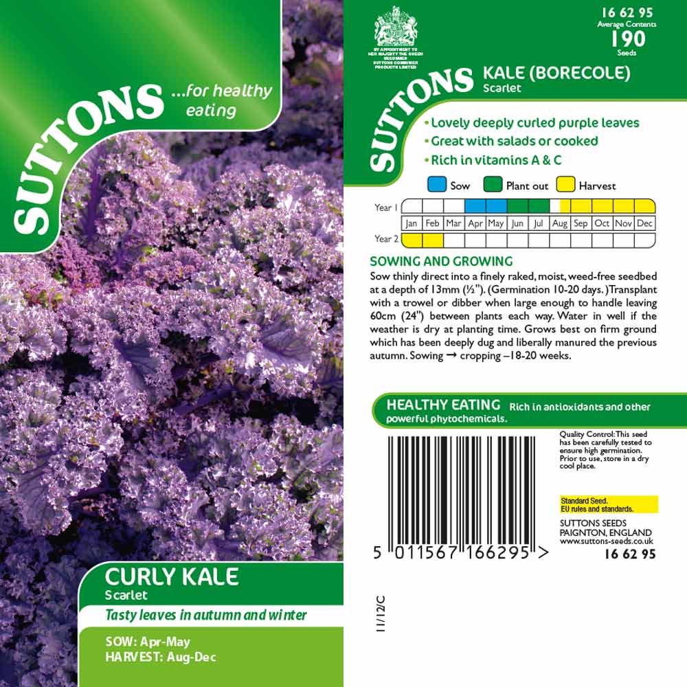 Suttons Kale Scarlet 166295