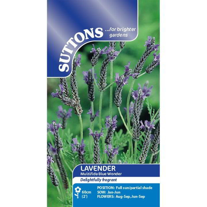 Suttons Lavender Multifida Blue Wonder 118964
