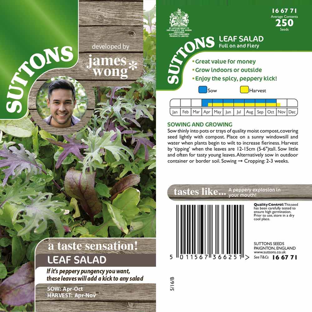 Suttons Leaf Salad - Image 2