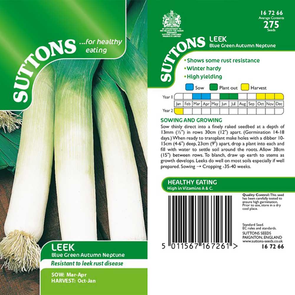 Suttons Leek Blue Green Autumn Neptune G167266