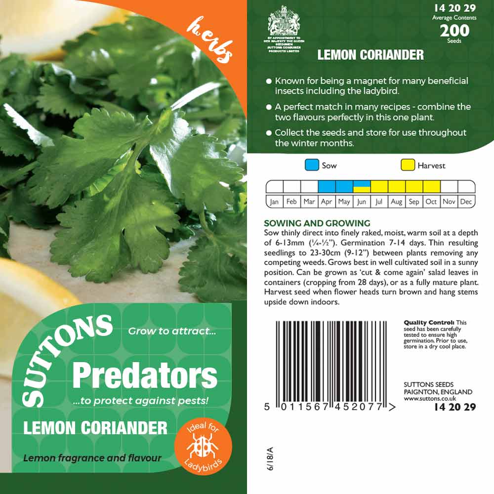Suttons Lemon Coriander Pp - Image 2