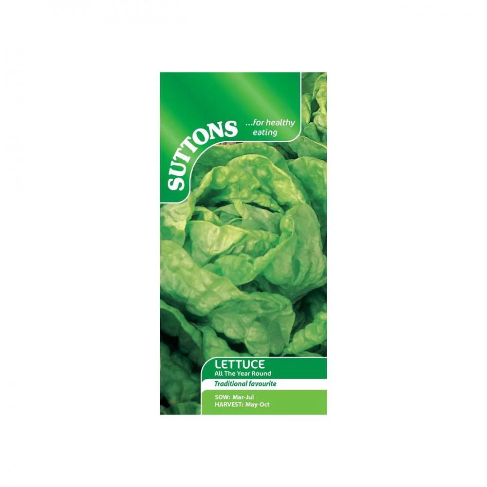 Suttons Lettuce All The Year Round 167975 - Image 2