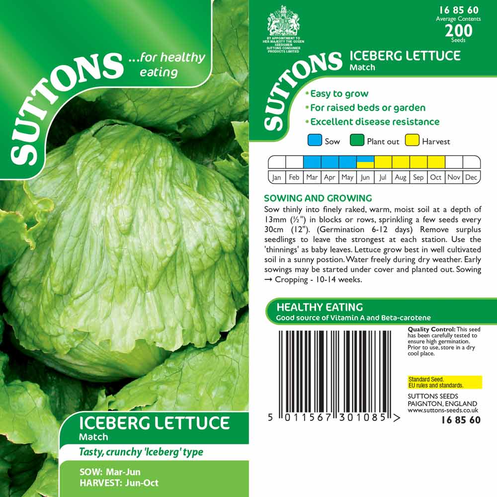 Suttons Lettuce Match 168560