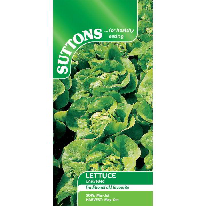 Suttons Lettuce Unrivalled 167886
