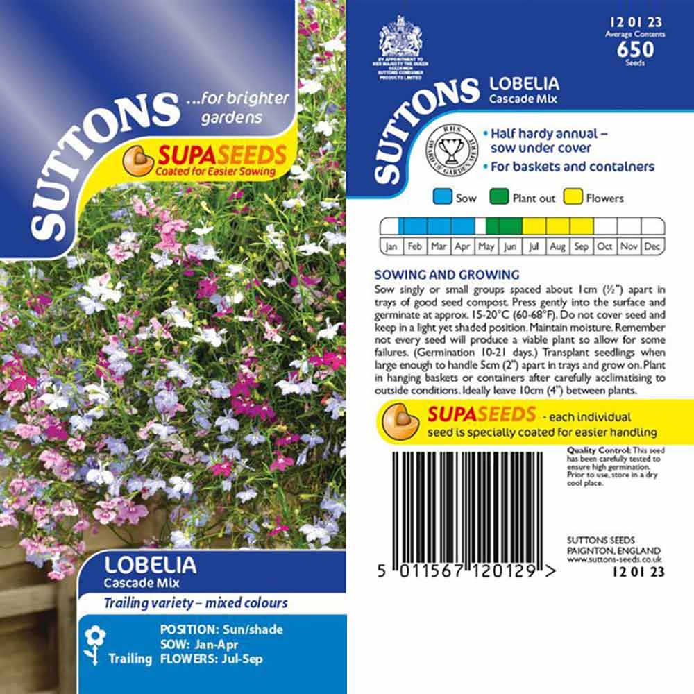 Suttons Lobelia Supacoat Cascade Mixed 120123 - Image 2