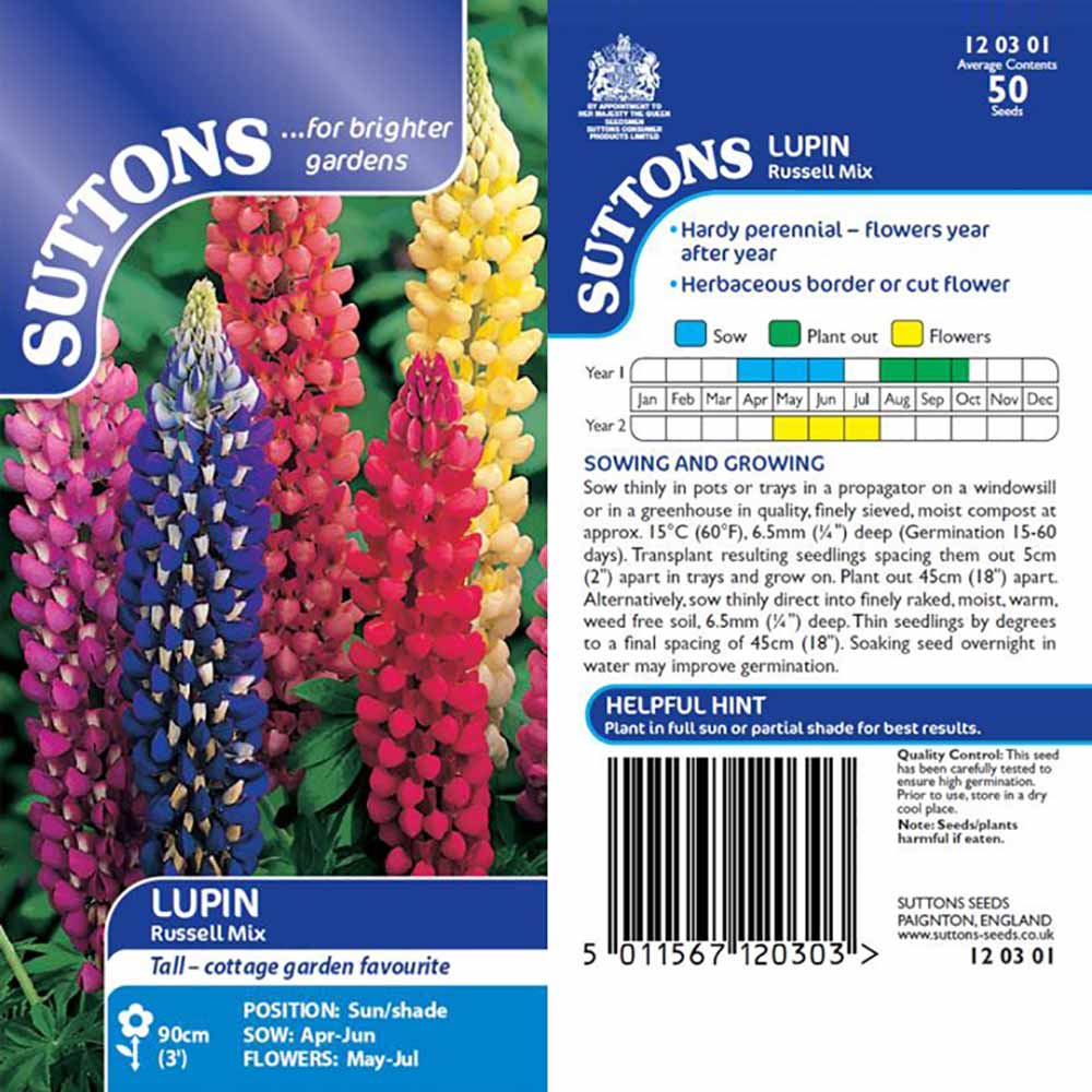 Suttons Lupin Russell Strain 120301 - Image 2