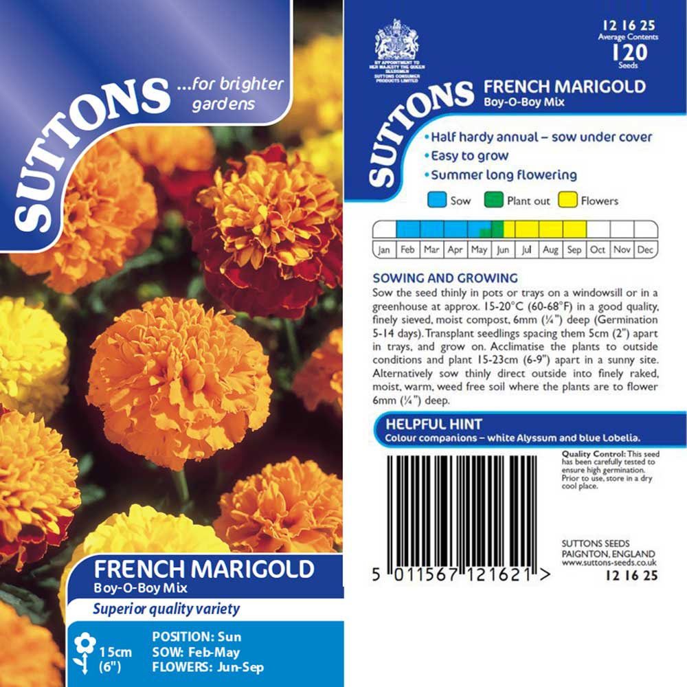 Suttons Marigold French Boy O Boy Mixed 121625 - Image 2
