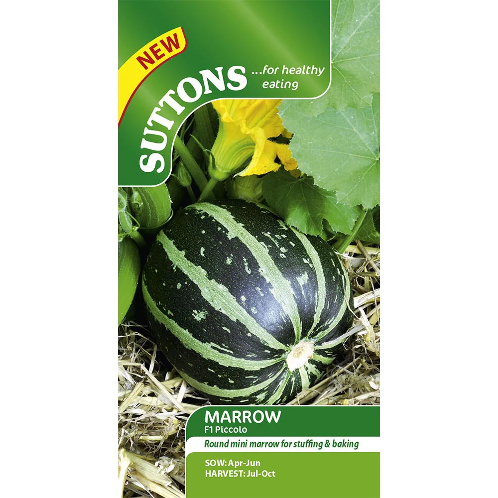 Suttons Marrow F1 Piccolo G170433