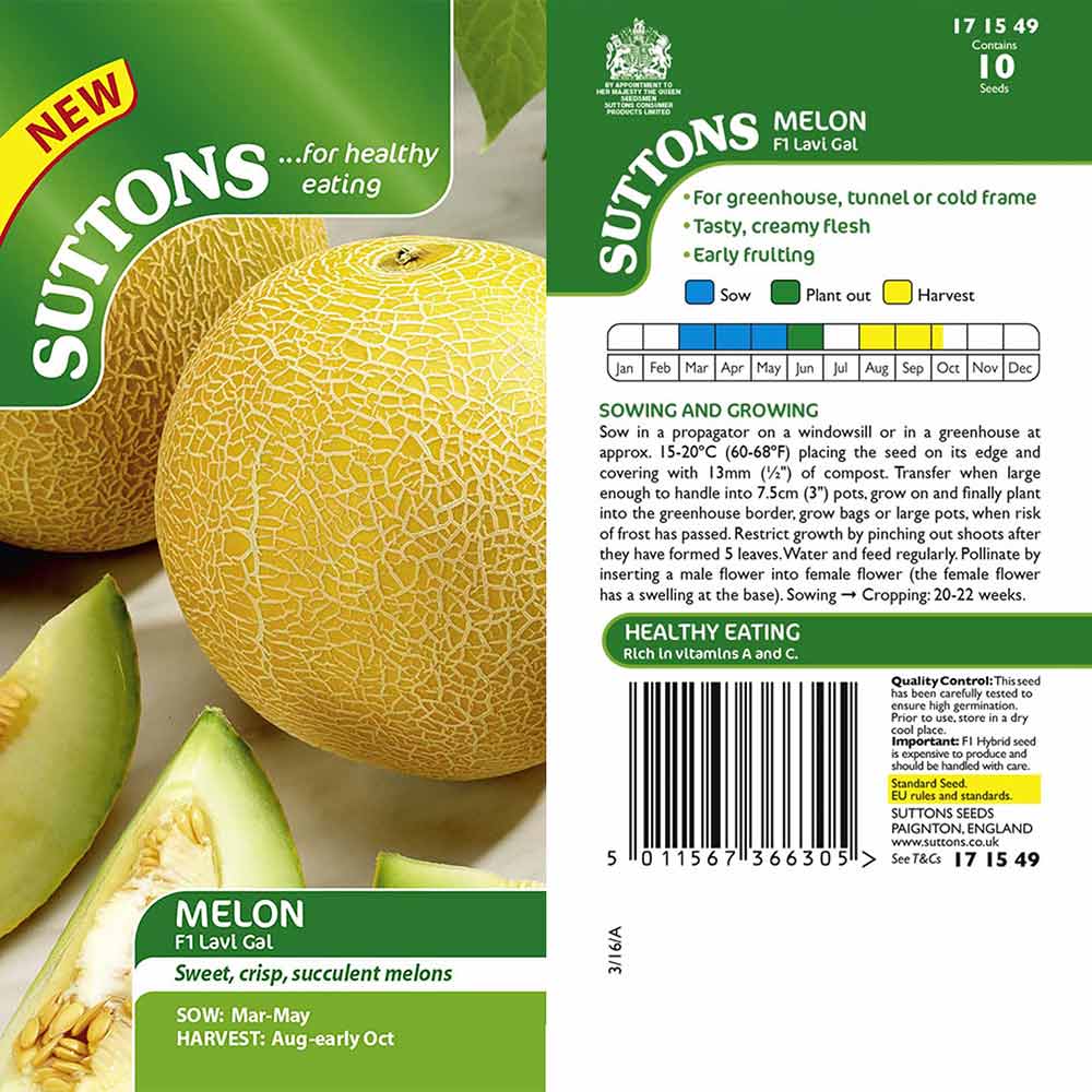 Suttons Melon F1 Lavi Gal G171549 - Image 2