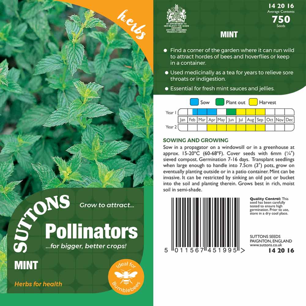 Suttons Mint Pp - Image 2