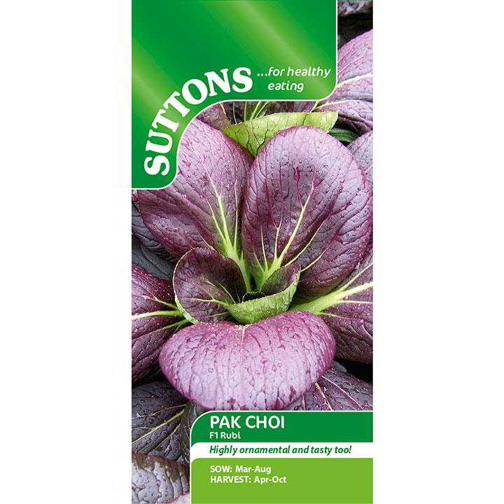 Suttons Pak Choi F1 Rubi