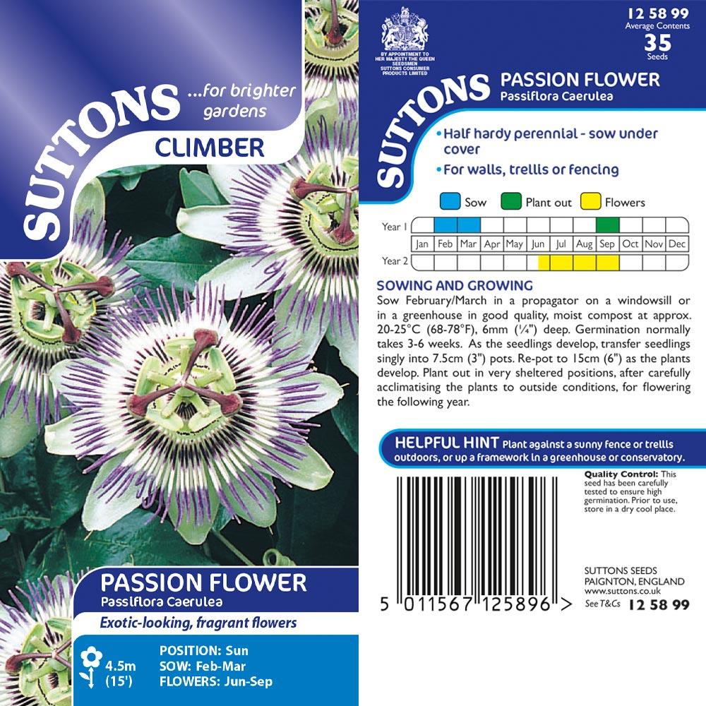 Suttons Passion Flower Passiflora Caerulea G125899