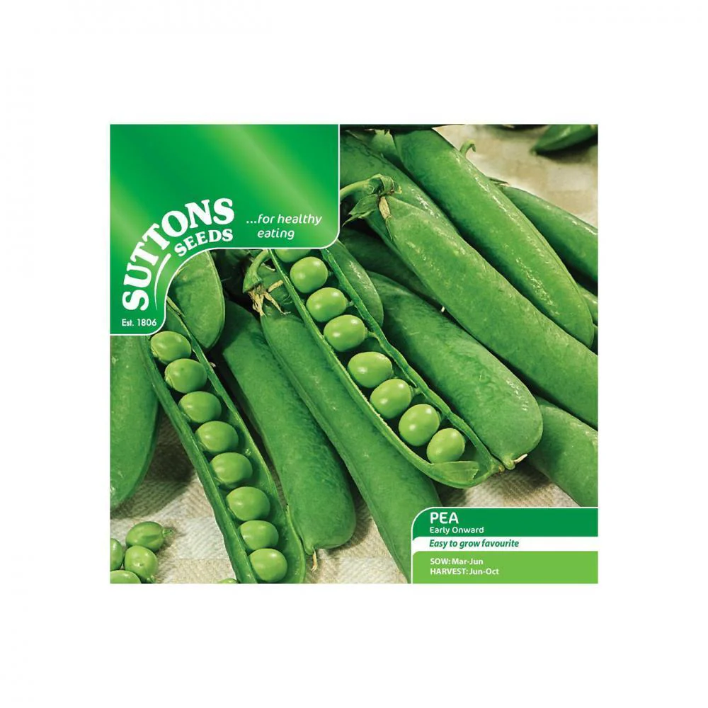 Suttons Pea Early Onward 190005