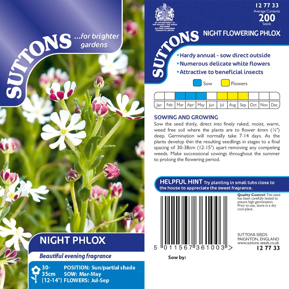 Suttons Phlox Night Flowering - Image 2