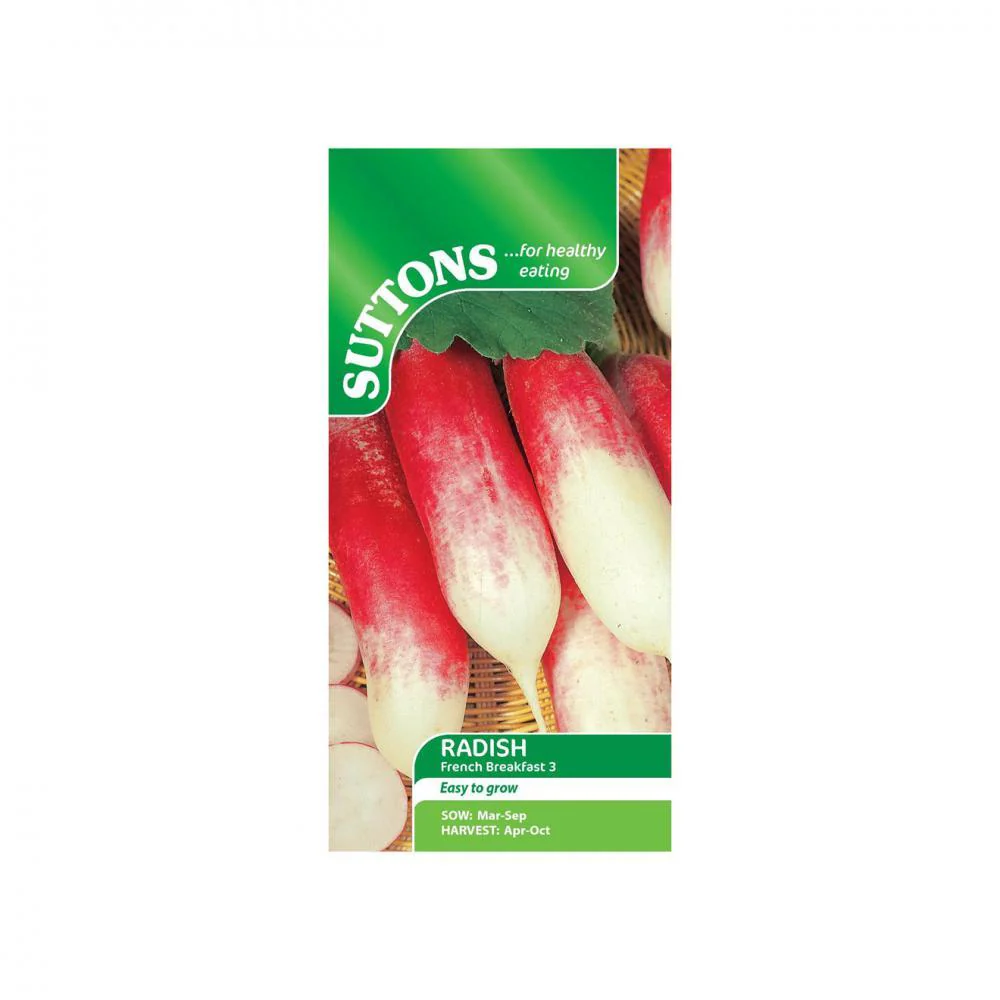 Suttons Radish French Breakfast 3 176515