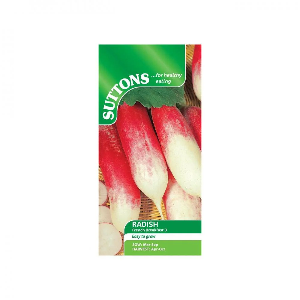 Suttons Radish French Breakfast 3 176515 - Image 2