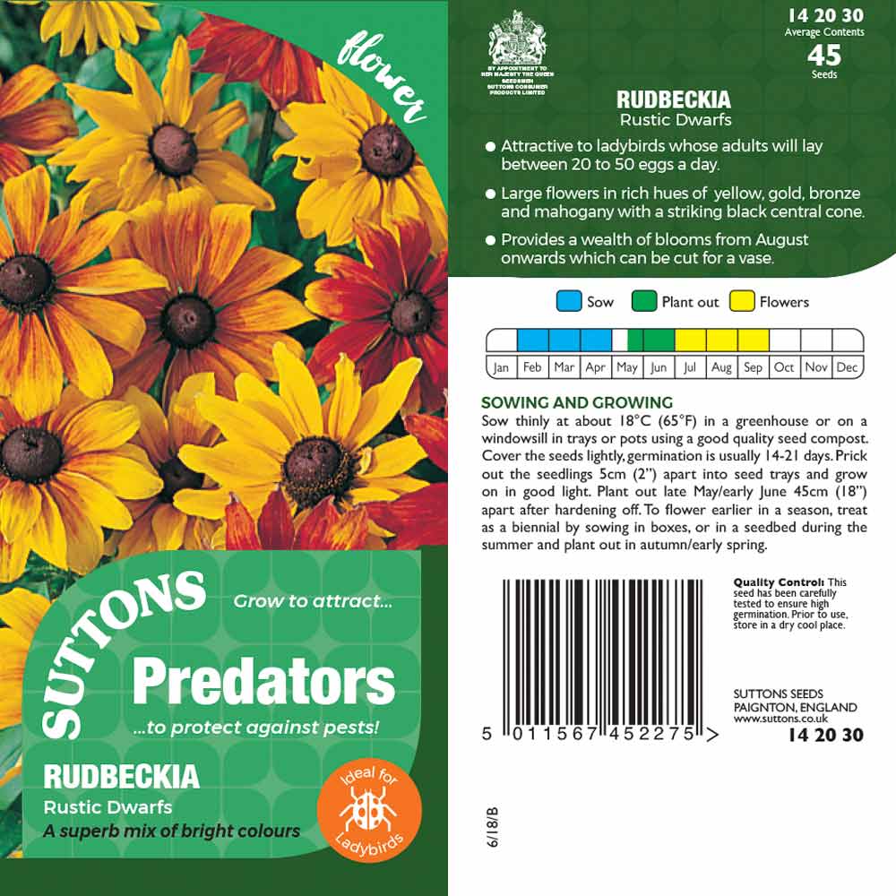 Suttons Rudbeckia Rustic Dwarfs Pp - Image 2