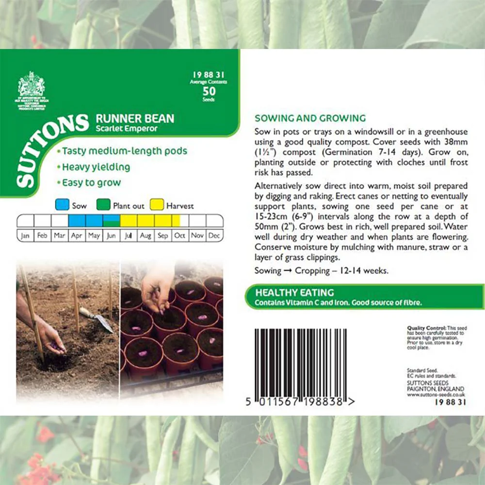 Suttons Runner Bean Scarlet Emperor 198831 - Image 2