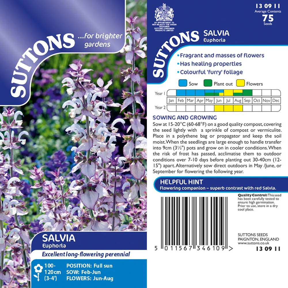 Suttons Salvia Euphoria - Image 2