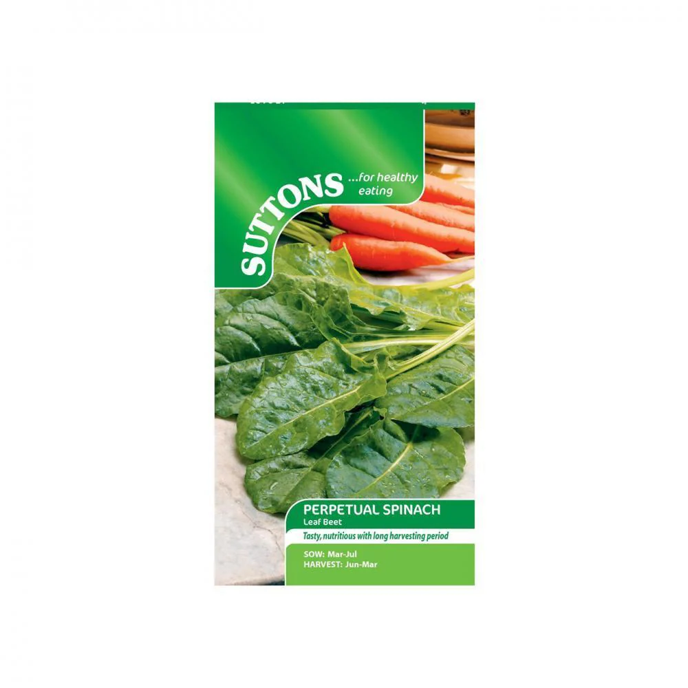 Suttons Spinach Scenic Perpetual Leaf Beet 178435