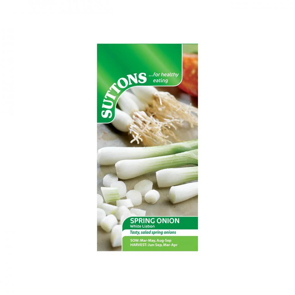 Suttons Spring Onion White Lisbon 173411 - Image 2