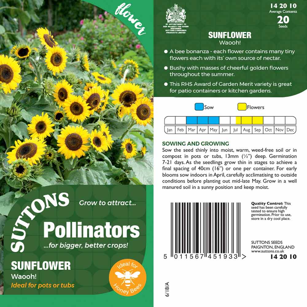 Suttons Sunflower Waooh! Pp - Image 2