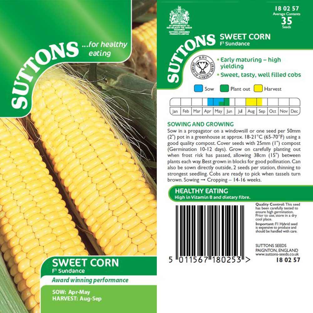 Suttons Sweet Corn Sundance F1 180257 - Image 2