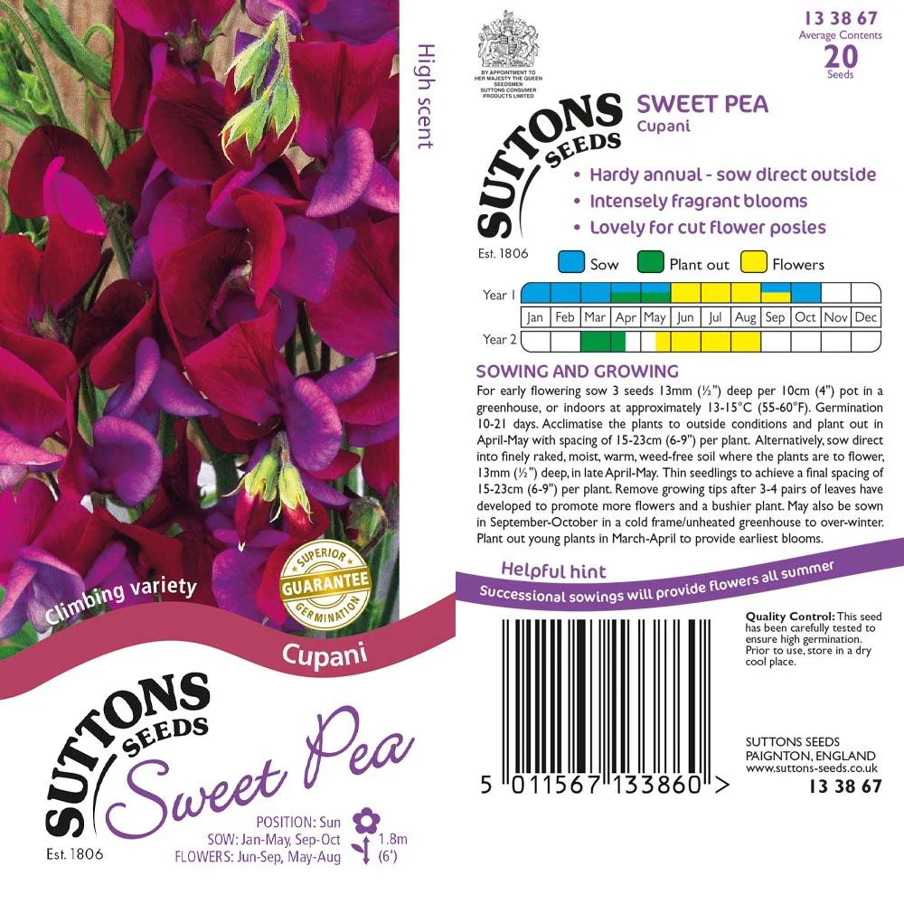 Suttons Sweet Pea Cupani 133867