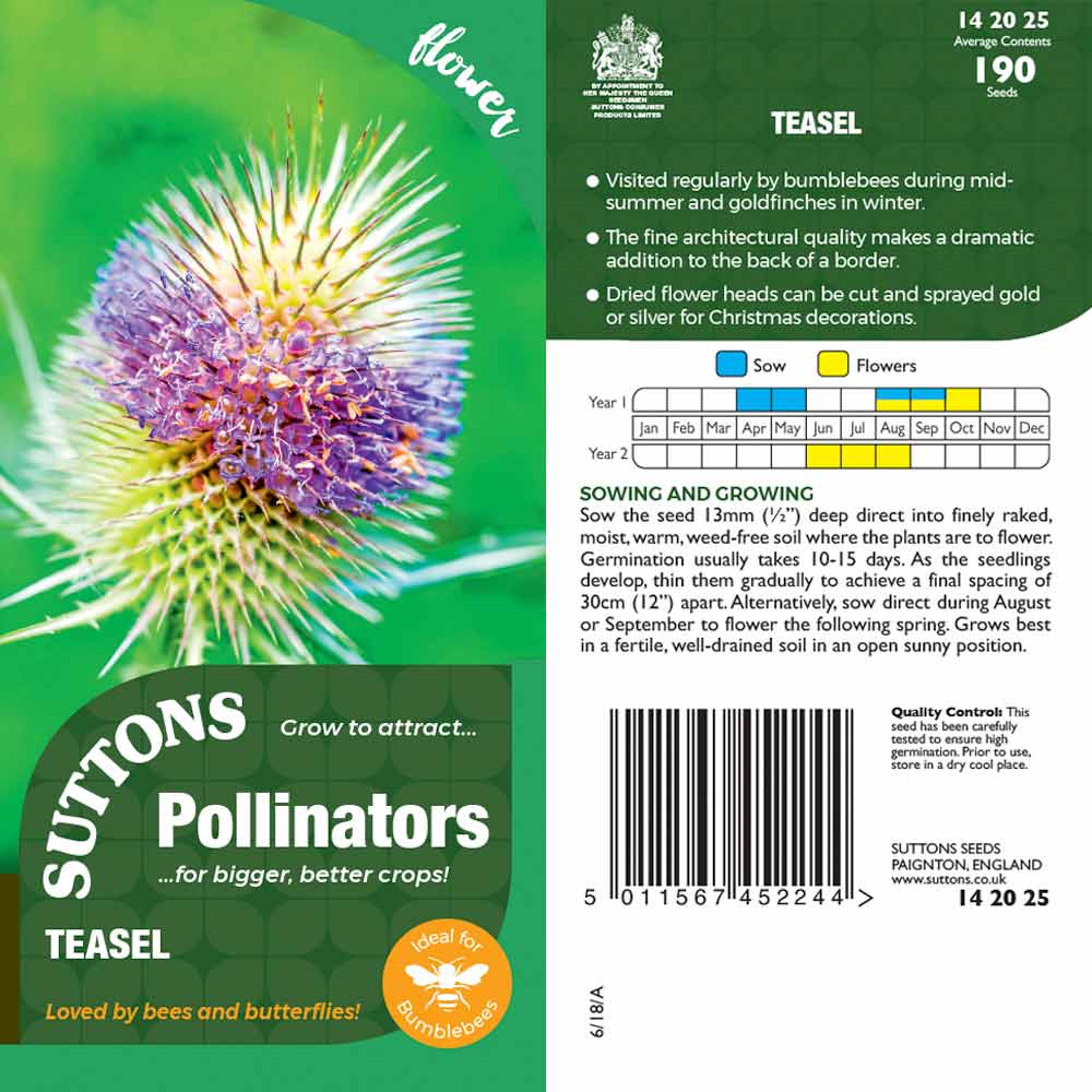 Suttons Teasel Pp - Image 2
