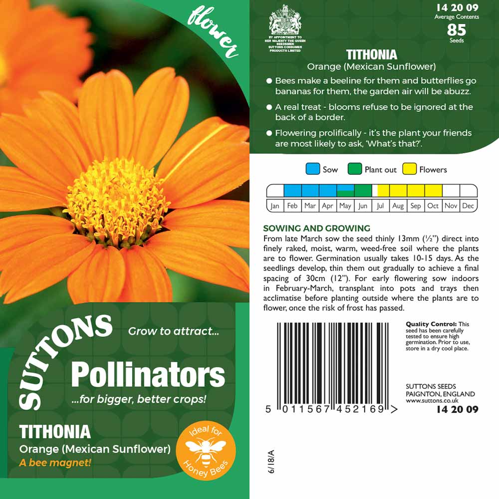 Suttons Tithonia Orange (Mexicansunflower) Pp - Image 2