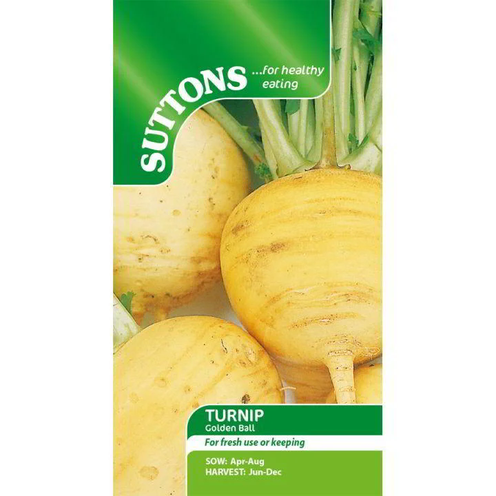 Suttons Turnip Golden Ball 183016
