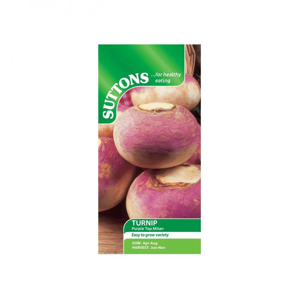 Suttons Turnip Purple Top Milan 182789 - Image 2