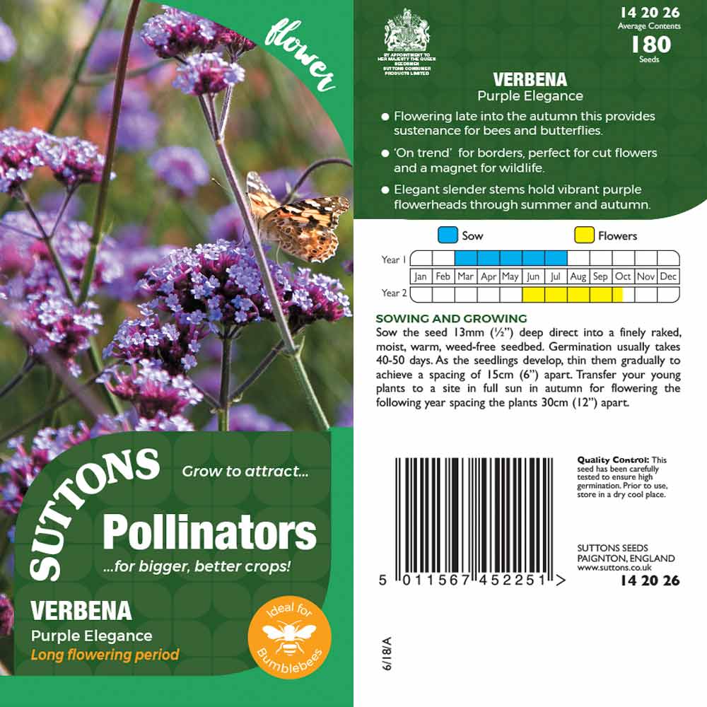 Suttons Verbena Purple Elegance Pp - Image 2