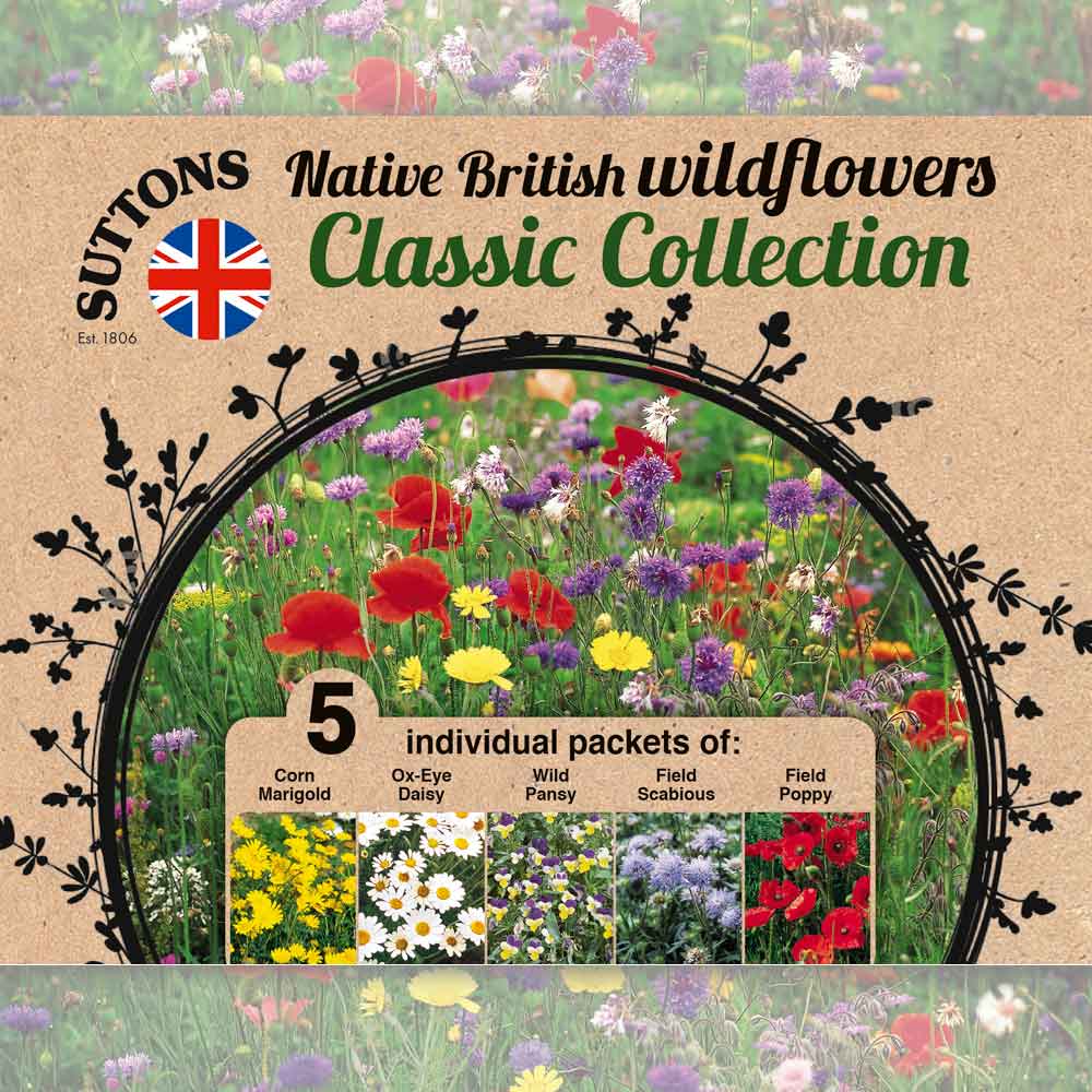 Suttons Wildflower Collection - Image 2