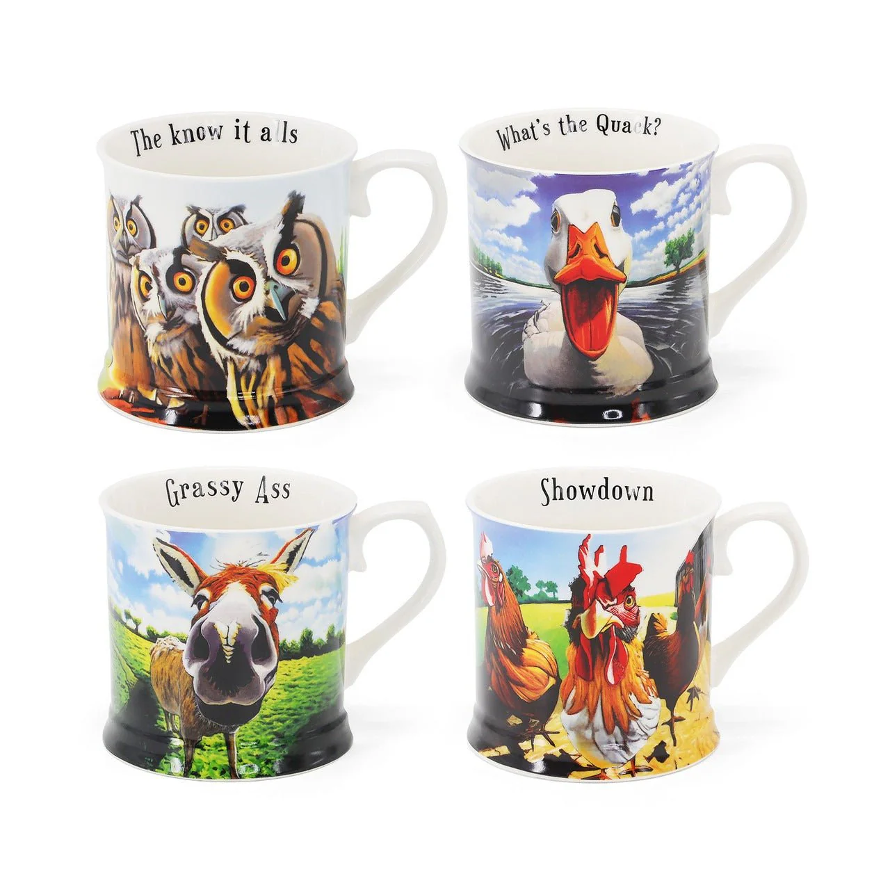 TIPPERARY CRYSTAL Beyond the Herd Set 4 Mugs (Duck, Owls, Hens, Donkey)