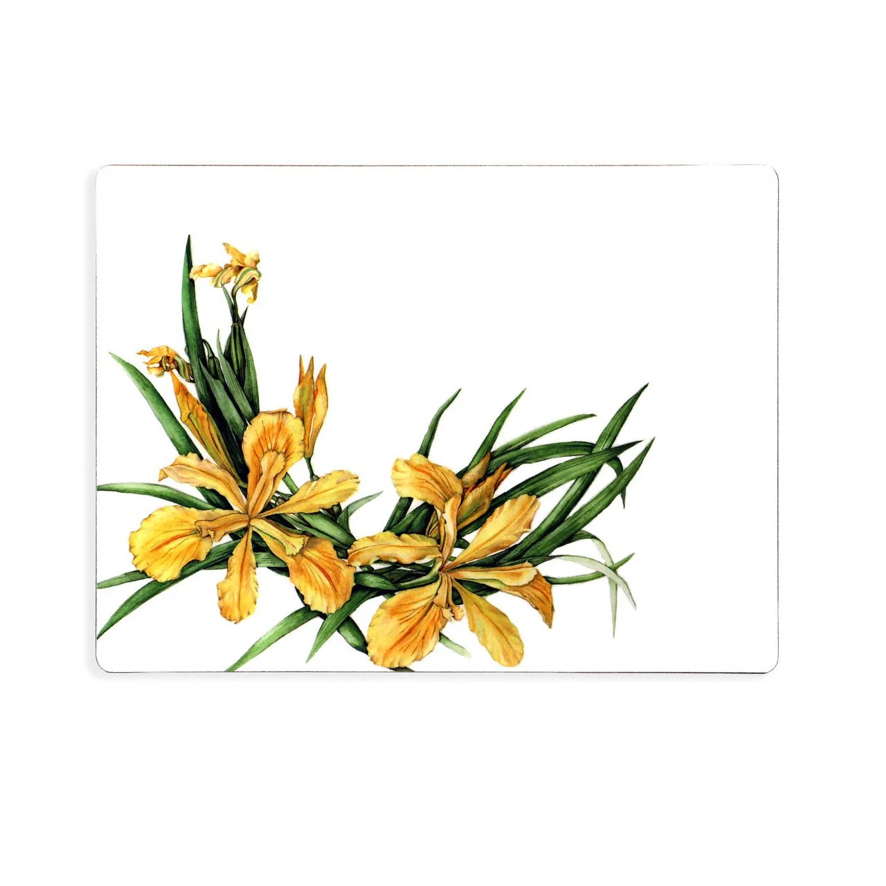 TIPPERARY CRYSTAL Botanical Studio - Set of 6 Placemats - Image 2