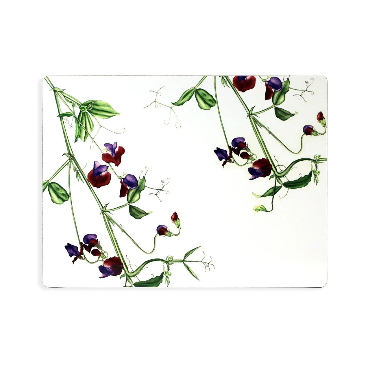 TIPPERARY CRYSTAL Botanical Studio - Set of 6 Placemats - Image 3