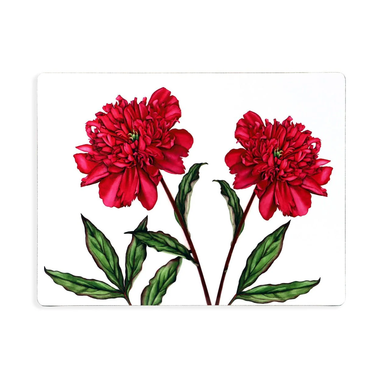 TIPPERARY CRYSTAL Botanical Studio - Set of 6 Placemats - Image 4