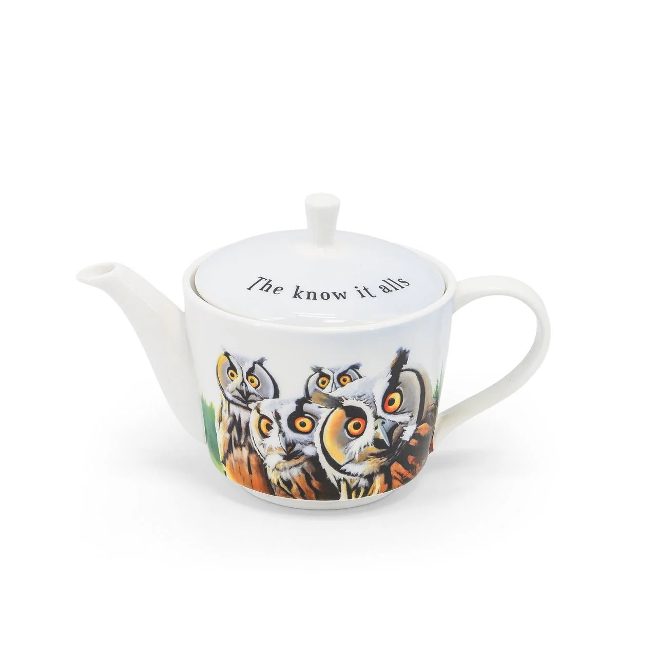 TIPPERARY CRYSTAL Eoin O'Connor Beyond The Herd - Owl Teapot