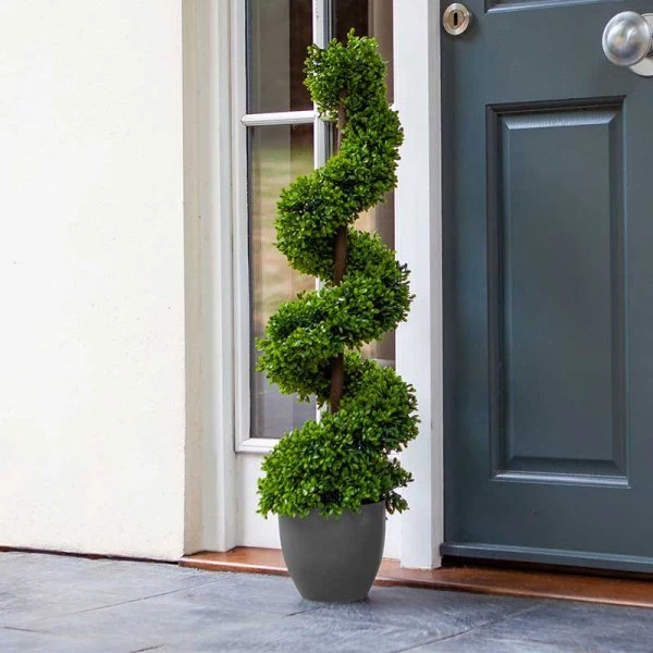 Topiary Twirl 90cm