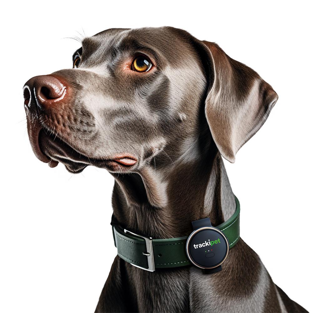 TrackiPet Tracki Dog Gps Tracker | 7463 - Image 4