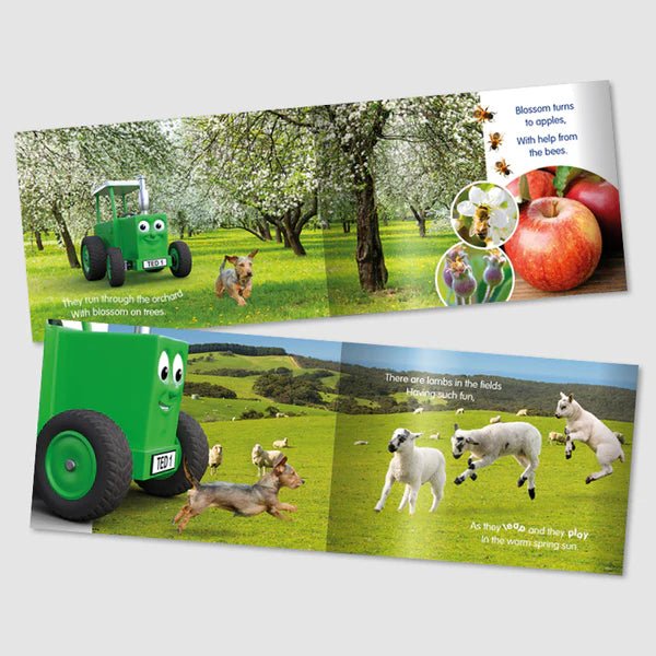 Tractor Ted A Spring Day Book - Image 2
