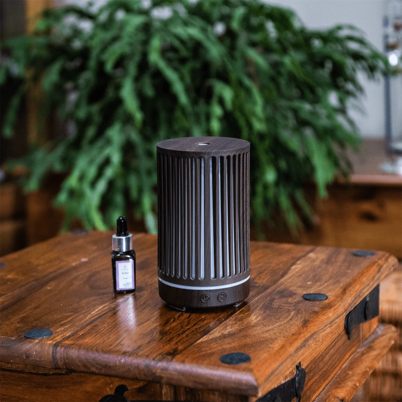 Walnut USB Continuum Diffuser - Image 4