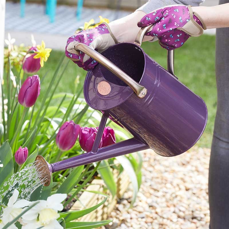 Watering Can 4.5 L – Violet - Image 2