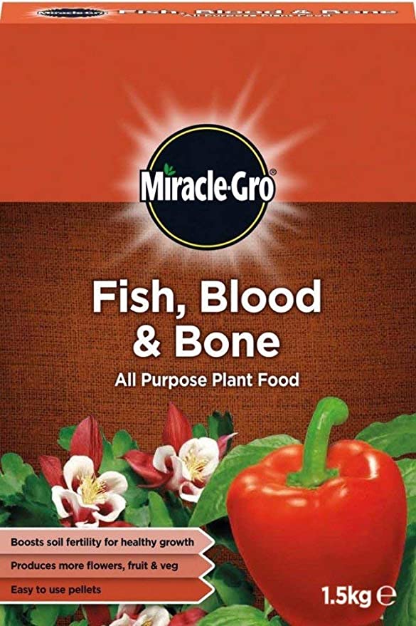 Miracle Gro Fish Blood & Bone 1.5Kg Natural Plant Food - Image 2