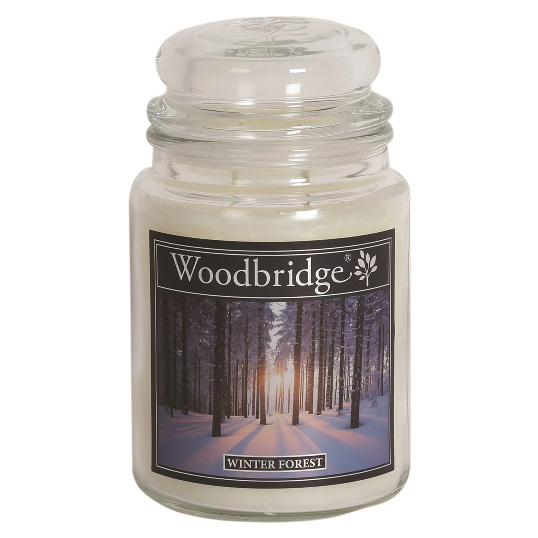 Winter Forest Woodbridge Large Scented Candle Jar
