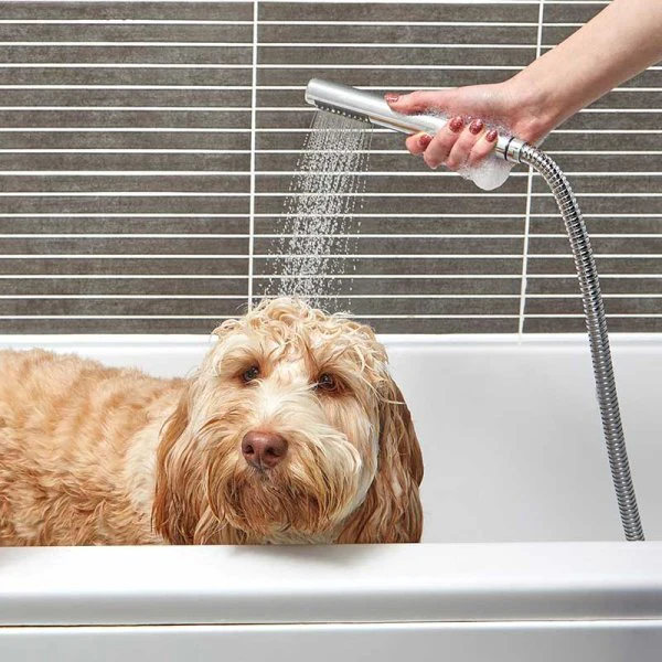 Zoon Deep Clean Dog Shampoo 300ml - Image 2